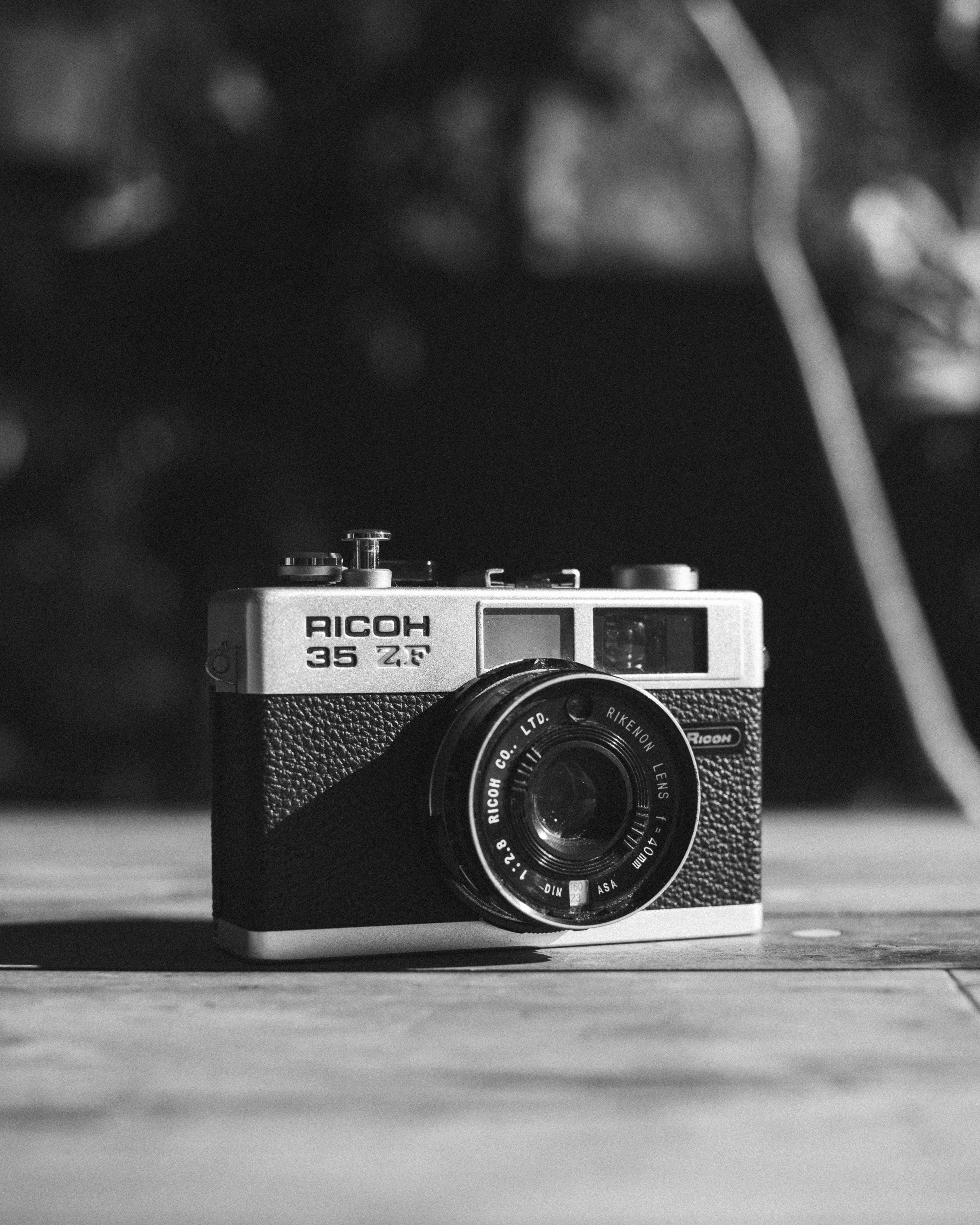 Professional Photography